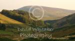 The Forrest of Bowland